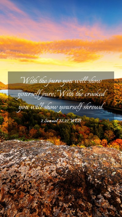 Picture 03 - 2 Samuel 22:27 WEB Mobile Phone Wallpaper - With the pure you will show yourself pure; With - Mobile Bible Verse Wallpaper