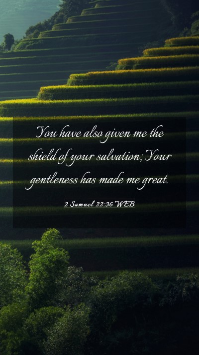 Picture 03 - 2 Samuel 22:36 WEB Mobile Phone Wallpaper - You have also given me the shield of your - Mobile Bible Verse Wallpaper