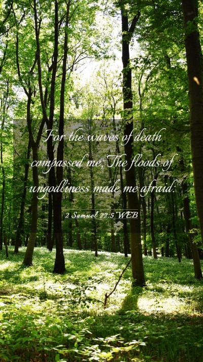 Picture 03 - 2 Samuel 22:5 WEB Mobile Phone Wallpaper - For the waves of death compassed me; The floods - Mobile Bible Verse Wallpaper