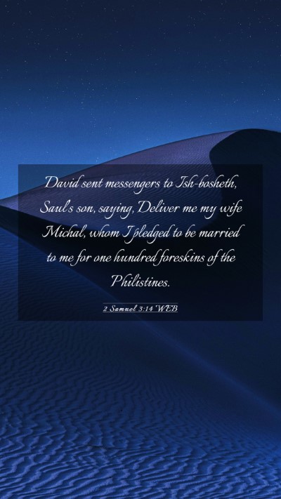 Picture 03 - 2 Samuel 3:14 WEB Mobile Phone Wallpaper - David sent messengers to Ish-bosheth, Saul's son, - Mobile Bible Verse Wallpaper