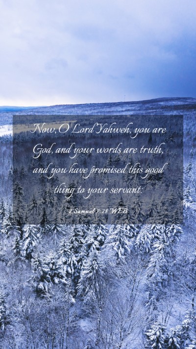 Picture 03 - 2 Samuel 7:28 WEB Mobile Phone Wallpaper - Now, O Lord Yahweh, you are God, and your words - Mobile Bible Verse Wallpaper