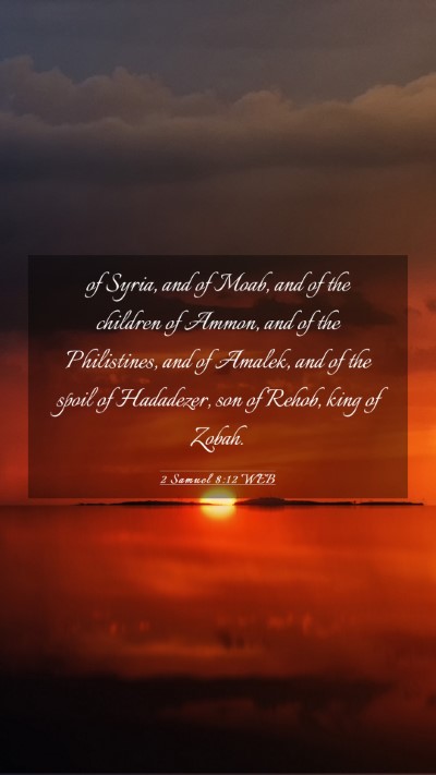 Picture 03 - 2 Samuel 8:12 WEB Mobile Phone Wallpaper - of Syria, and of Moab, and of the children of - Mobile Bible Verse Wallpaper