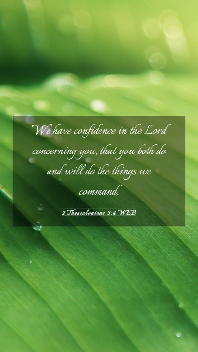 Picture 03 - 2 Thessalonians 3:4 WEB Mobile Phone Wallpaper - We have confidence in the Lord concerning you, - Mobile Bible Verse Wallpaper