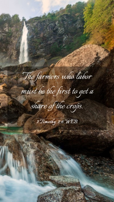 Picture 03 - 2 Timothy 2:6 WEB Mobile Phone Wallpaper - The farmers who labor must be the first to get a - Mobile Bible Verse Wallpaper