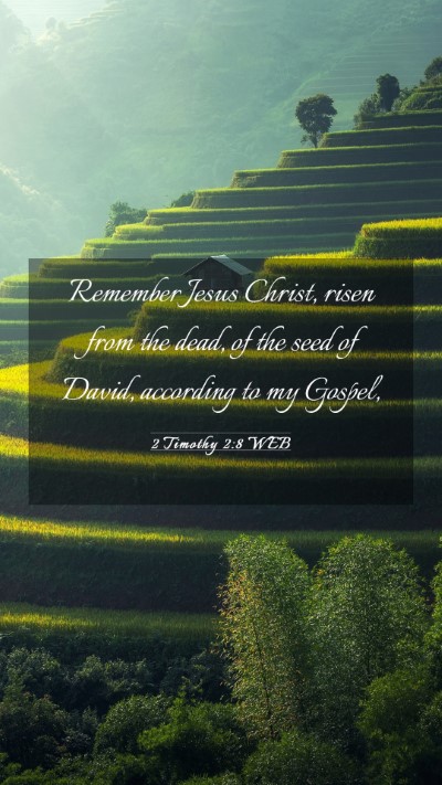 Picture 03 - 2 Timothy 2:8 WEB Mobile Phone Wallpaper - Remember Jesus Christ, risen from the dead, of - Mobile Bible Verse Wallpaper