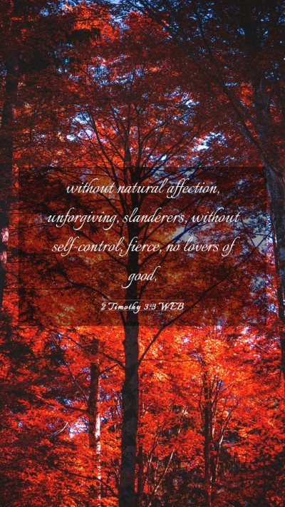 Picture 03 - 2 Timothy 3:3 WEB Mobile Phone Wallpaper - without natural affection, unforgiving, - Mobile Bible Verse Wallpaper