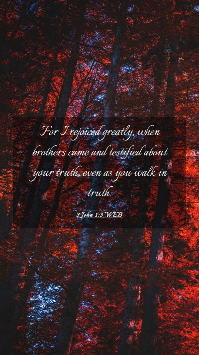 Picture 03 - 3 John 1:3 WEB Mobile Phone Wallpaper - For I rejoiced greatly, when brothers came and - Mobile Bible Verse Wallpaper