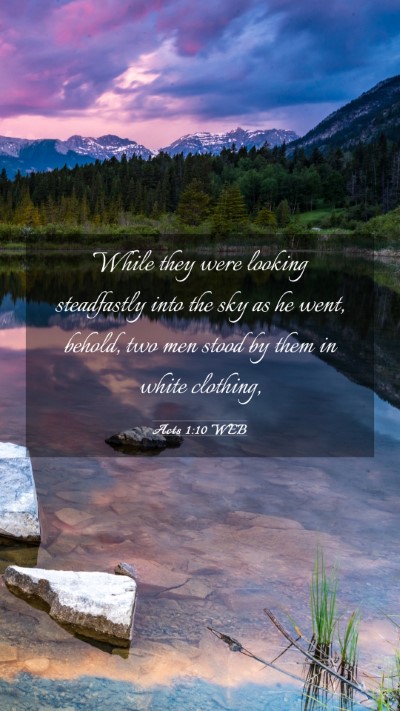 Picture 03 - Acts 1:10 WEB Mobile Phone Wallpaper - While they were looking steadfastly into the sky - Mobile Bible Verse Wallpaper