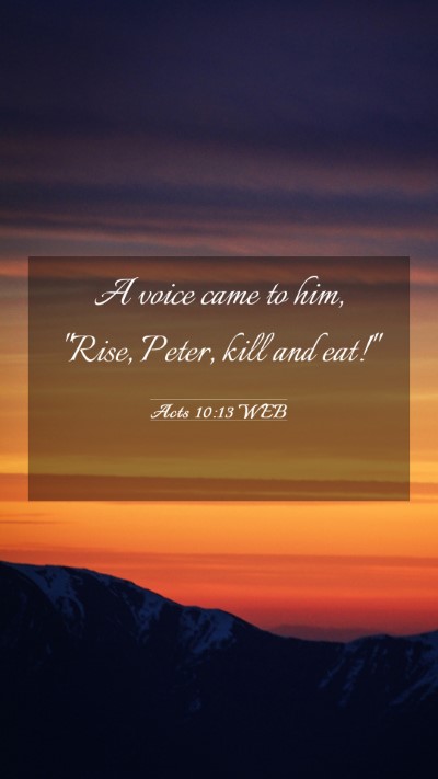 Picture 03 - Acts 10:13 WEB Mobile Phone Wallpaper - A voice came to him, 