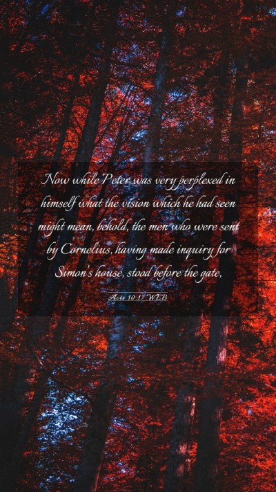 Picture 03 - Acts 10:17 WEB Mobile Phone Wallpaper - Now while Peter was very perplexed in himself - Mobile Bible Verse Wallpaper
