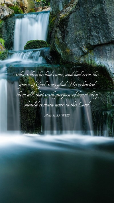 Picture 03 - Acts 11:23 WEB Mobile Phone Wallpaper - who, when he had come, and had seen the grace of - Mobile Bible Verse Wallpaper