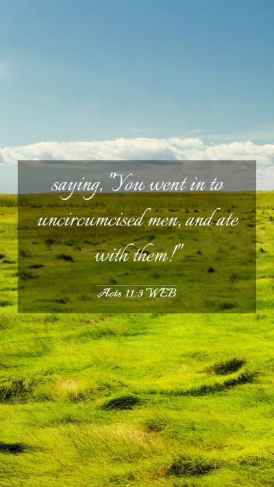 Picture 03 - Acts 11:3 WEB Mobile Phone Wallpaper - saying, 