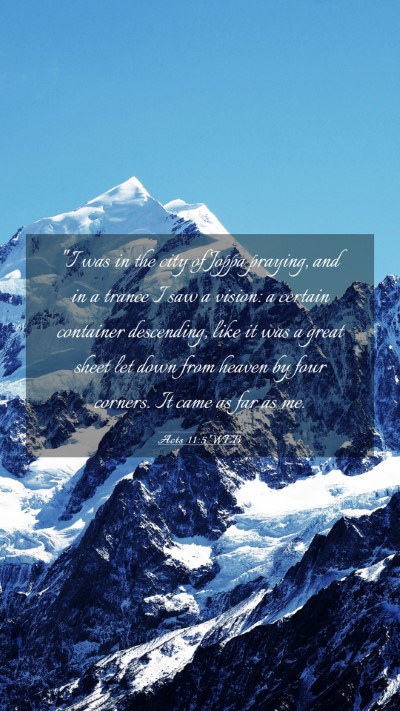 Picture 03 - Acts 11:5 WEB Mobile Phone Wallpaper - 