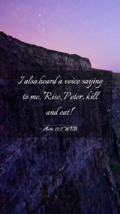 Picture 03 - Acts 11:7 WEB Mobile Phone Wallpaper - I also heard a voice saying to me, 'Rise, Peter, - Mobile Bible Verse Wallpaper
