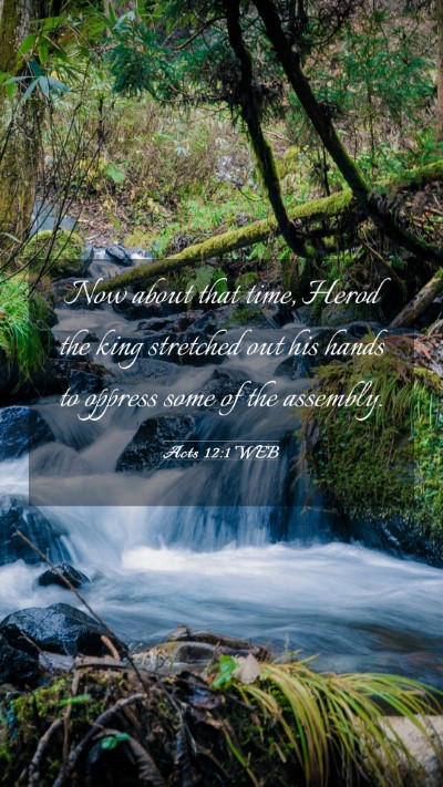 Picture 03 - Acts 12:1 WEB Mobile Phone Wallpaper - Now about that time, Herod the king stretched out - Mobile Bible Verse Wallpaper
