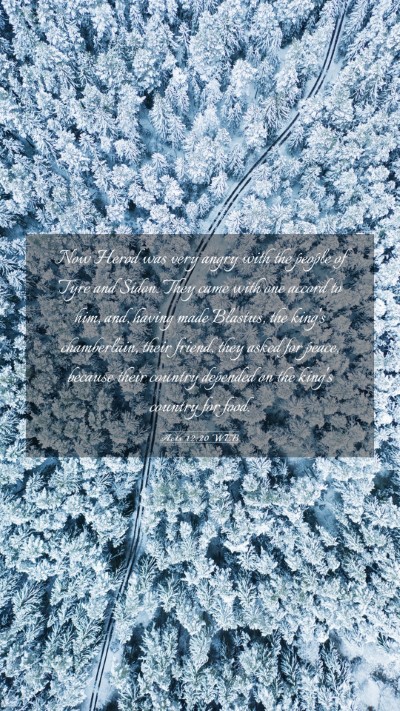 Picture 03 - Acts 12:20 WEB Mobile Phone Wallpaper - Now Herod was very angry with the people of Tyre - Mobile Bible Verse Wallpaper
