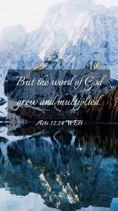 Picture 03 - Acts 12:24 WEB Mobile Phone Wallpaper - But the word of God grew and - Mobile Bible Verse Wallpaper