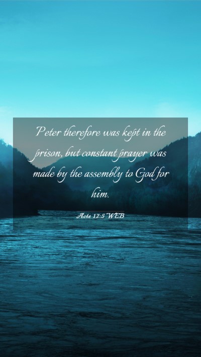 Picture 03 - Acts 12:5 WEB Mobile Phone Wallpaper - Peter therefore was kept in the prison, but - Mobile Bible Verse Wallpaper