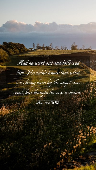 Picture 03 - Acts 12:9 WEB Mobile Phone Wallpaper - And he went out and followed him. He didn't know - Mobile Bible Verse Wallpaper