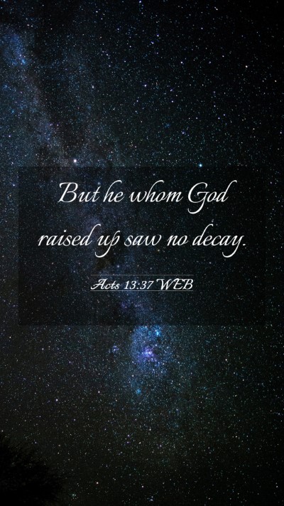 Picture 03 - Acts 13:37 WEB Mobile Phone Wallpaper - But he whom God raised up saw no - Mobile Bible Verse Wallpaper
