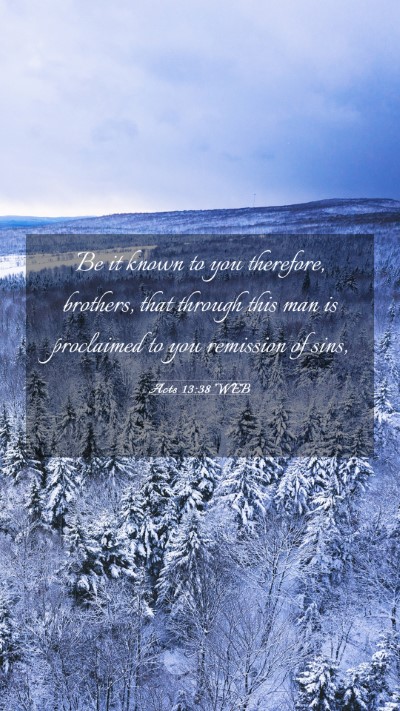 Picture 03 - Acts 13:38 WEB Mobile Phone Wallpaper - Be it known to you therefore, brothers, that - Mobile Bible Verse Wallpaper