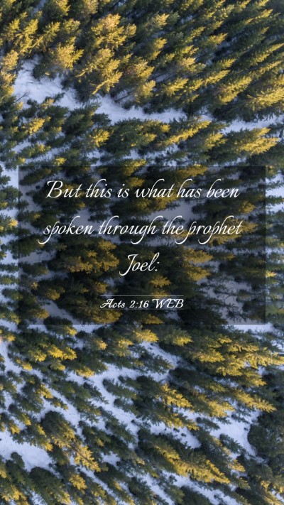 Picture 03 - Acts 2:16 WEB Mobile Phone Wallpaper - But this is what has been spoken through the - Mobile Bible Verse Wallpaper