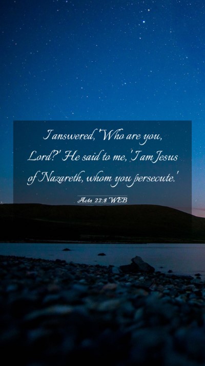 Picture 03 - Acts 22:8 WEB Mobile Phone Wallpaper - I answered, 'Who are you, Lord?' He said to me, - Mobile Bible Verse Wallpaper