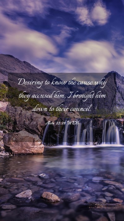 Picture 03 - Acts 23:28 WEB Mobile Phone Wallpaper - Desiring to know the cause why they accused him, - Mobile Bible Verse Wallpaper
