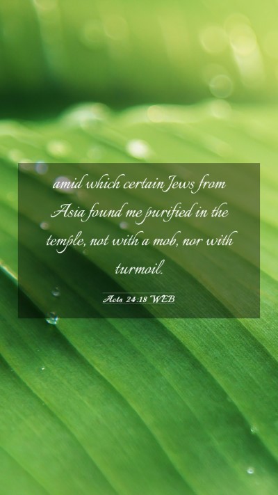 Picture 03 - Acts 24:18 WEB Mobile Phone Wallpaper - amid which certain Jews from Asia found me - Mobile Bible Verse Wallpaper