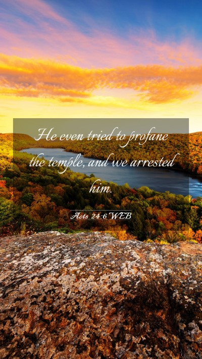 Picture 03 - Acts 24:6 WEB Mobile Phone Wallpaper - He even tried to profane the temple, and we - Mobile Bible Verse Wallpaper