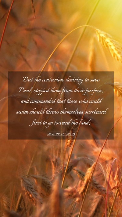 Picture 03 - Acts 27:43 WEB Mobile Phone Wallpaper - But the centurion, desiring to save Paul, stopped - Mobile Bible Verse Wallpaper
