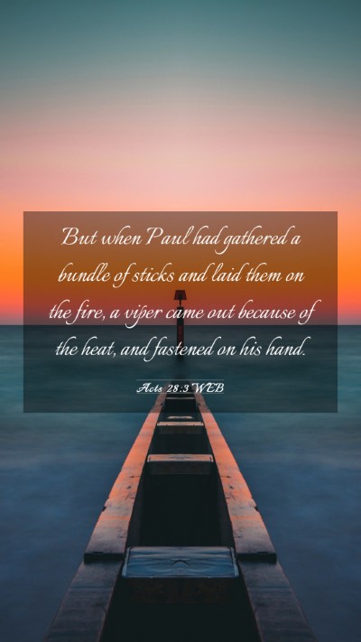Picture 03 - Acts 28:3 WEB Mobile Phone Wallpaper - But when Paul had gathered a bundle of sticks and - Mobile Bible Verse Wallpaper