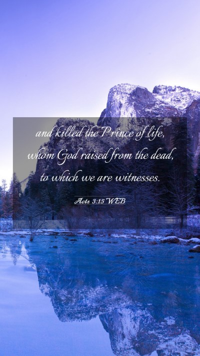 Picture 03 - Acts 3:15 WEB Mobile Phone Wallpaper - and killed the Prince of life, whom God raised - Mobile Bible Verse Wallpaper