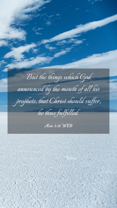 Picture 03 - Acts 3:18 WEB Mobile Phone Wallpaper - But the things which God announced by the mouth - Mobile Bible Verse Wallpaper