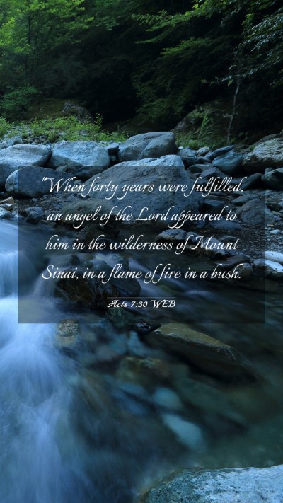 Picture 03 - Acts 7:30 WEB Mobile Phone Wallpaper - 