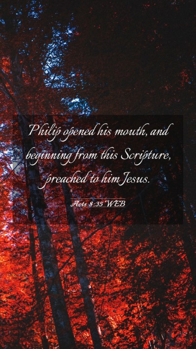 Picture 03 - Acts 8:35 WEB Mobile Phone Wallpaper - Philip opened his mouth, and beginning from this - Mobile Bible Verse Wallpaper
