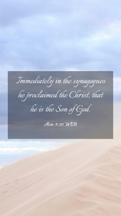 Picture 03 - Acts 9:20 WEB Mobile Phone Wallpaper - Immediately in the synagogues he proclaimed the - Mobile Bible Verse Wallpaper