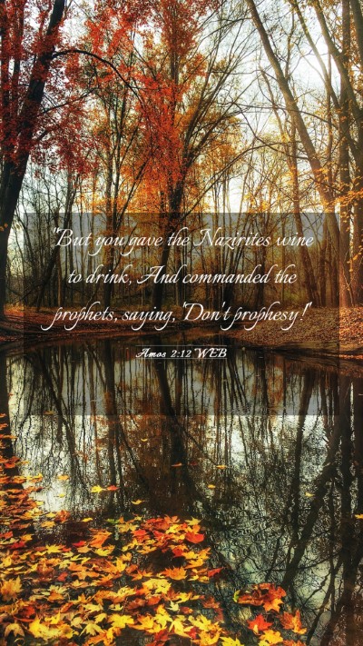Picture 03 - Amos 2:12 WEB Mobile Phone Wallpaper - 