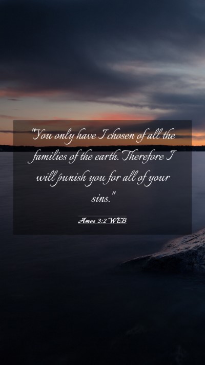 Picture 03 - Amos 3:2 WEB Mobile Phone Wallpaper - 