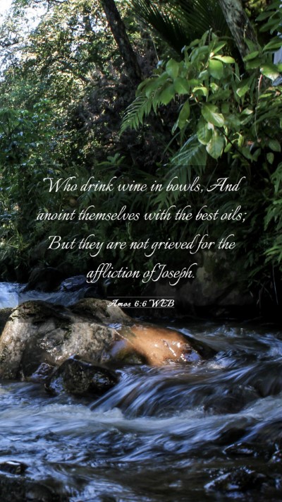 Picture 03 - Amos 6:6 WEB Mobile Phone Wallpaper - Who drink wine in bowls, And anoint themselves - Mobile Bible Verse Wallpaper