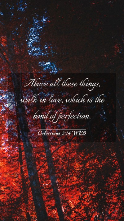Picture 03 - Colossians 3:14 WEB Mobile Phone Wallpaper - Above all these things, walk in love, which is - Mobile Bible Verse Wallpaper