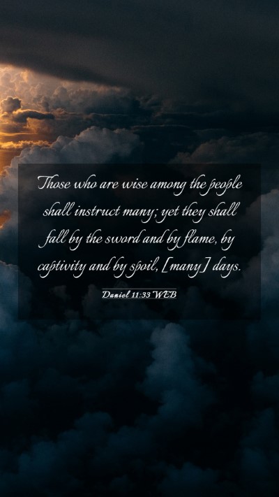 Picture 03 - Daniel 11:33 WEB Mobile Phone Wallpaper - Those who are wise among the people shall - Mobile Bible Verse Wallpaper