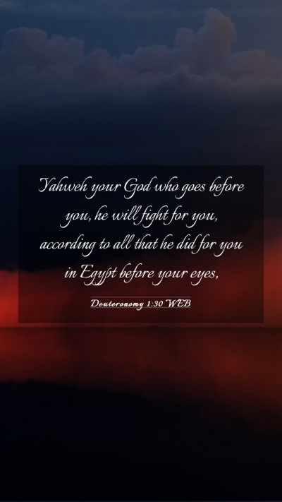 Picture 03 - Deuteronomy 1:30 WEB Mobile Phone Wallpaper - Yahweh your God who goes before you, he will - Mobile Bible Verse Wallpaper