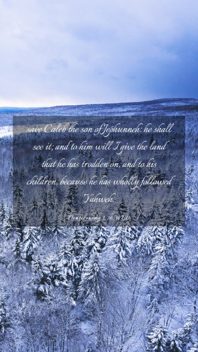 Picture 03 - Deuteronomy 1:36 WEB Mobile Phone Wallpaper - save Caleb the son of Jephunneh: he shall see it; - Mobile Bible Verse Wallpaper