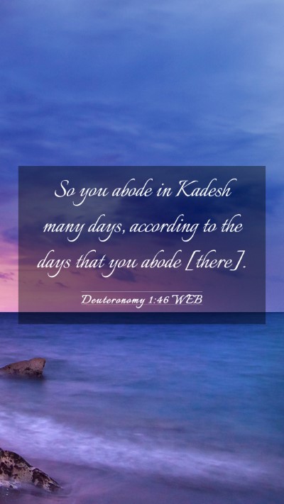 Picture 03 - Deuteronomy 1:46 WEB Mobile Phone Wallpaper - So you abode in Kadesh many days, according to - Mobile Bible Verse Wallpaper