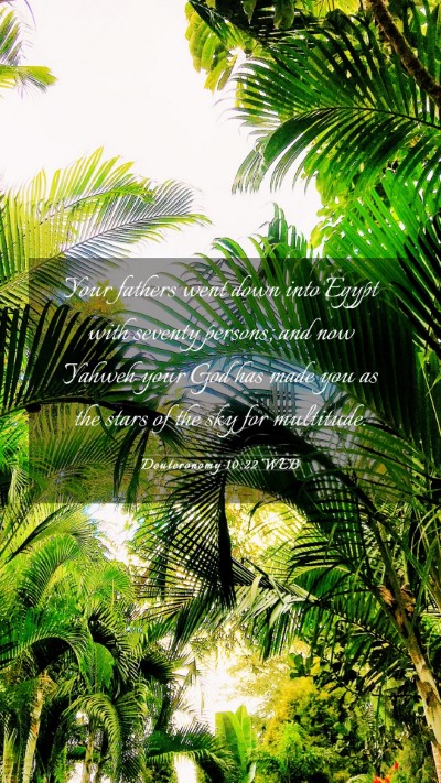 Picture 03 - Deuteronomy 10:22 WEB Mobile Phone Wallpaper - Your fathers went down into Egypt with seventy - Mobile Bible Verse Wallpaper