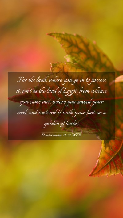 Picture 03 - Deuteronomy 11:10 WEB Mobile Phone Wallpaper - For the land, where you go in to possess it, - Mobile Bible Verse Wallpaper
