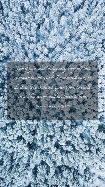 Picture 03 - Deuteronomy 11:22 WEB Mobile Phone Wallpaper - For if you shall diligently keep all this - Mobile Bible Verse Wallpaper
