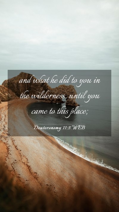 Picture 03 - Deuteronomy 11:5 WEB Mobile Phone Wallpaper - and what he did to you in the wilderness, until - Mobile Bible Verse Wallpaper