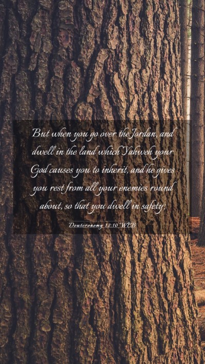 Picture 03 - Deuteronomy 12:10 WEB Mobile Phone Wallpaper - But when you go over the Jordan, and dwell in the - Mobile Bible Verse Wallpaper